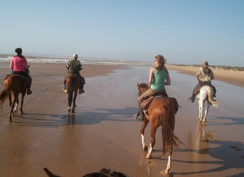 Picture 6 for Activity Essaouira Full day trip from Marrakech &Lunch & Moroccan tea