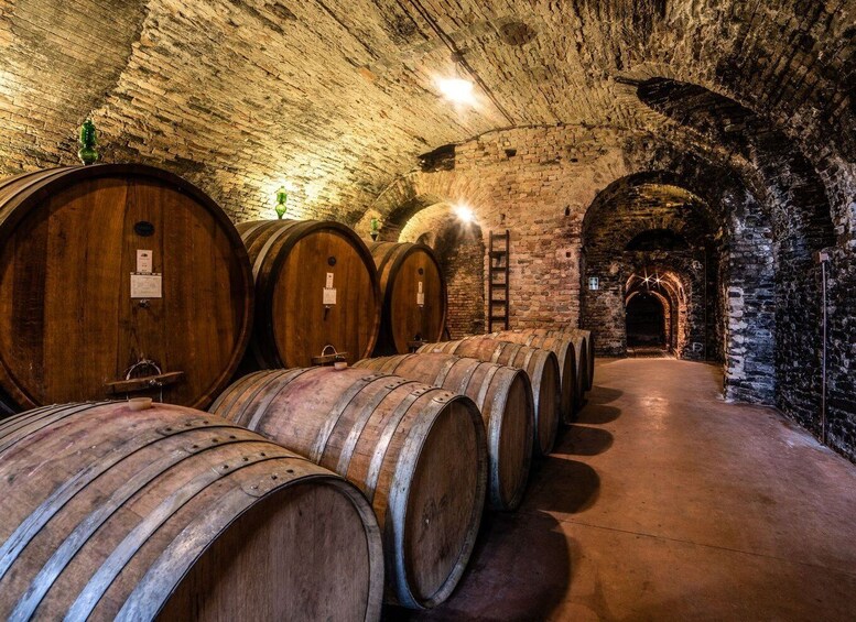 Picture 1 for Activity From Alba: Barolo & Barbaresco Wine Tasting Tour