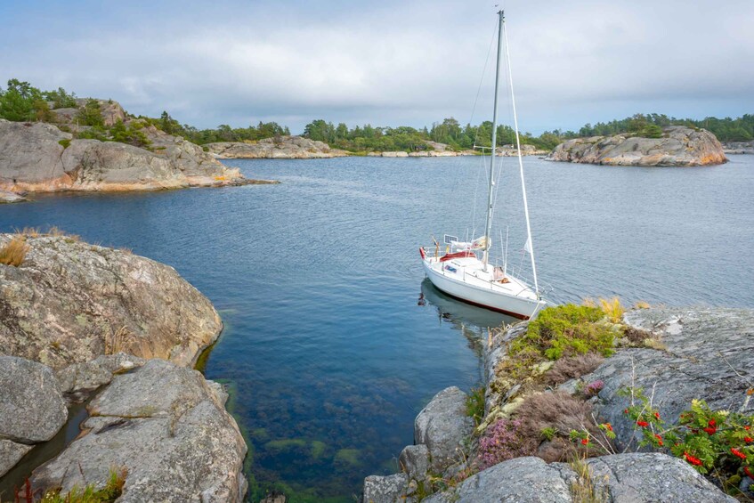Picture 4 for Activity Stockholm: Full Day Archipelago Sailing Tour with Lunch