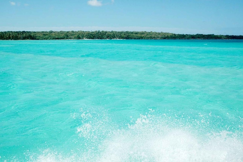 Picture 11 for Activity Saona Island: Beach & Natural Pool Small-Group Tour w/ Lunch