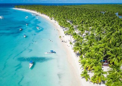 Île de Saona : Plage et piscine naturelle en petit groupe excursion avec dé...