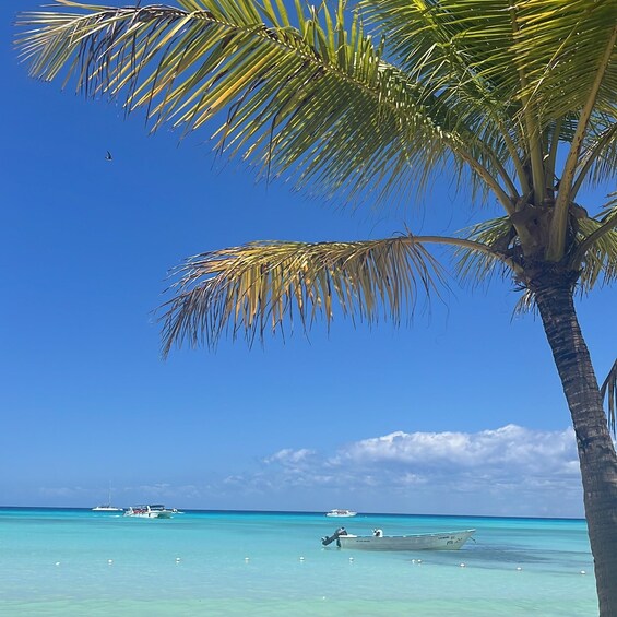 Picture 14 for Activity Saona Island: Beach & Natural Pool Small-Group Tour w/ Lunch