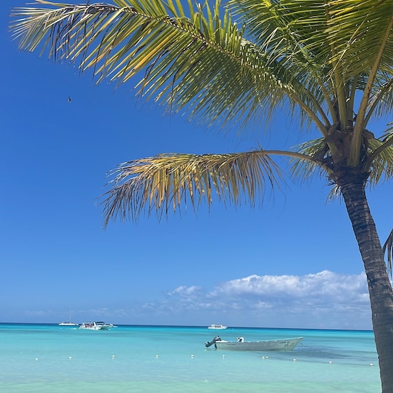 Picture 14 for Activity Saona Island: Beach & Natural Pool Small-Group Tour w/ Lunch