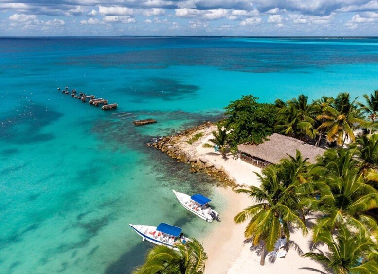 Picture 2 for Activity Saona Island: Beach & Natural Pool Small-Group Tour w/ Lunch