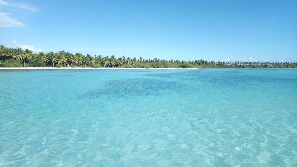 Picture 13 for Activity Saona Island: Beach & Natural Pool Small-Group Tour w/ Lunch