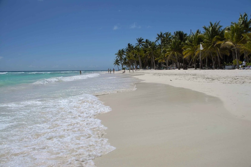 Picture 8 for Activity Saona Island: Beach & Natural Pool Small-Group Tour w/ Lunch