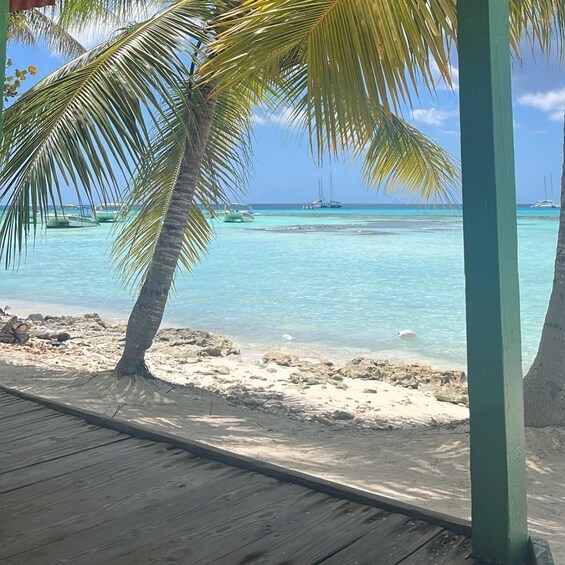 Picture 18 for Activity Saona Island: Beach & Natural Pool Small-Group Tour w/ Lunch