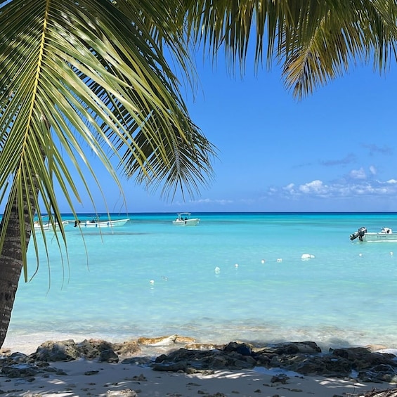 Picture 17 for Activity Saona Island: Beach & Natural Pool Small-Group Tour w/ Lunch
