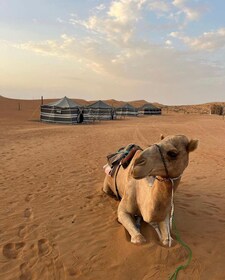 Luxury Overnight Desert Safari in Salalah