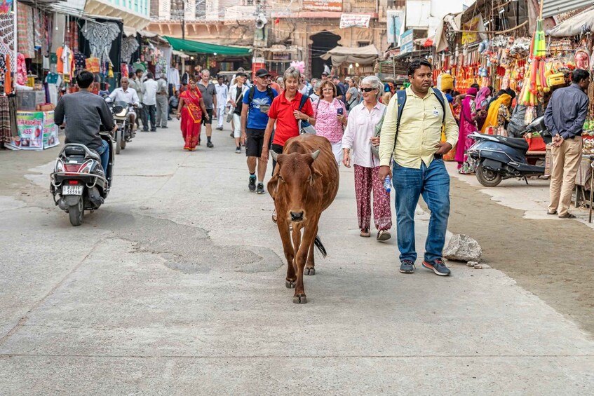 Picture 1 for Activity Visit Pushkar with Bikaner Drop from Jaipur