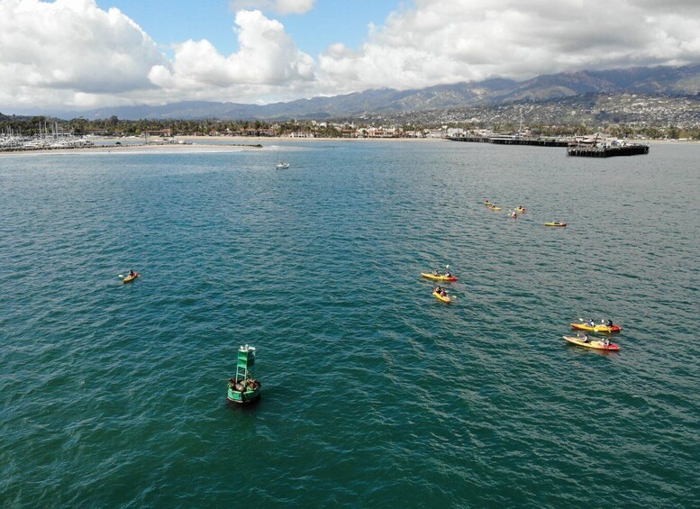Picture 5 for Activity Santa Barbara: Guided Sea Lion Kayaking Tour