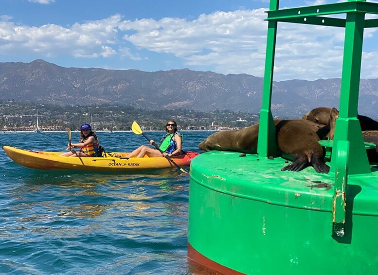 Picture 1 for Activity Santa Barbara: Guided Sea Lion Kayaking Tour
