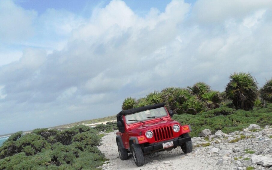 Picture 1 for Activity Cozumel: City Highlights Tour by Jeep