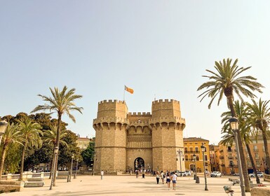 Valencia: City Bike Tour