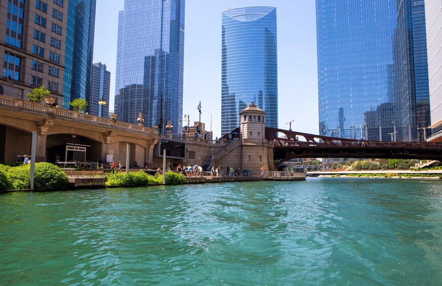 Picture 4 for Activity Chicago River Architecture and History by Private Boat Tour