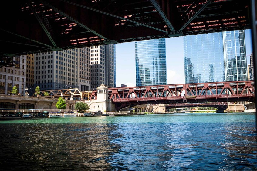 Picture 2 for Activity Chicago River Architecture and History by Private Boat Tour