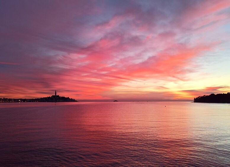 Picture 4 for Activity Rovinj: Dolphin Watching Sunset Speedboat Trip with Drinks