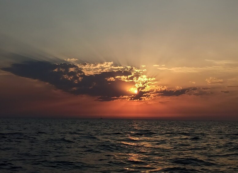 Picture 11 for Activity Rovinj: Dolphin Watching Sunset Speedboat Trip with Drinks