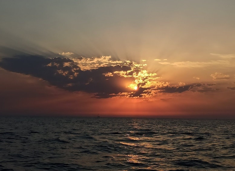 Picture 11 for Activity Rovinj: Dolphin Watching Sunset Speedboat Trip with Drinks