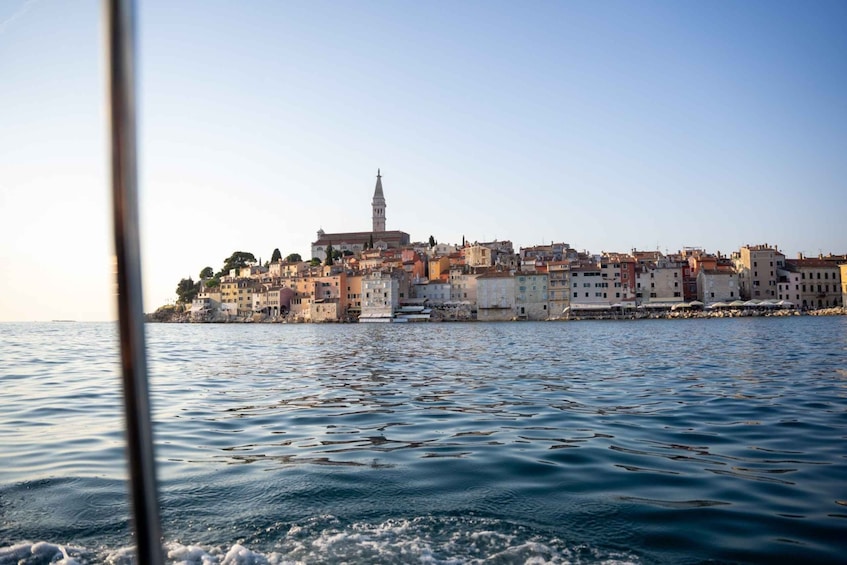Picture 7 for Activity Rovinj: Dolphin Watching Sunset Speedboat Trip with Drinks