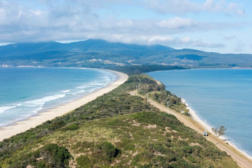 Signature Bruny Island Tour - Hobart & SE Tasmania