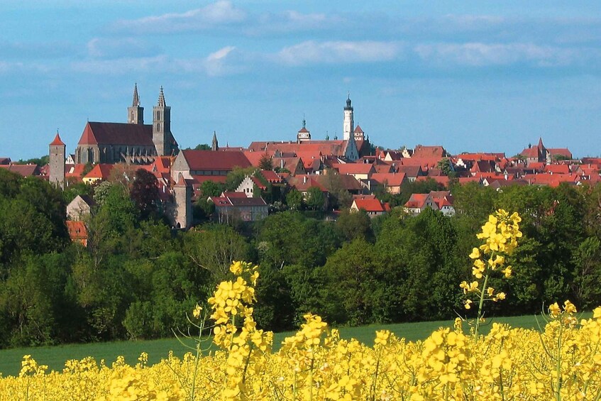 From Frankfurt: Rothenburg ob der Tauber Wine Tour