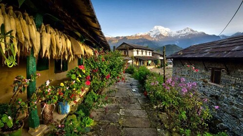 Vanuit Pokhara: 1 nacht 2 dag Ghandruk Tour per 4w jeep