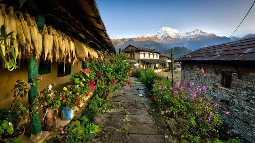 From Pokhara: 1 Night 2 day Ghandruk Tour by 4w jeep