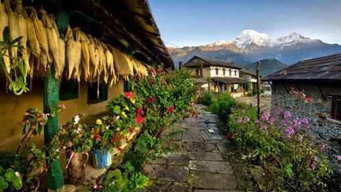 Von Pokhara: 1 Nacht 2 Tage Ghandruk Tour mit 4w Jeep