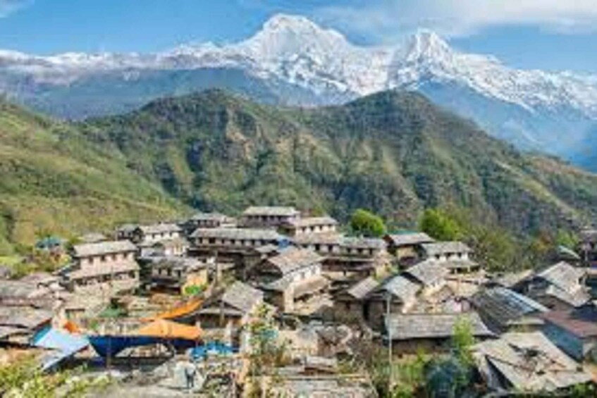 Picture 5 for Activity From Pokhara: 1 Night 2 day Ghandruk Tour by 4w jeep