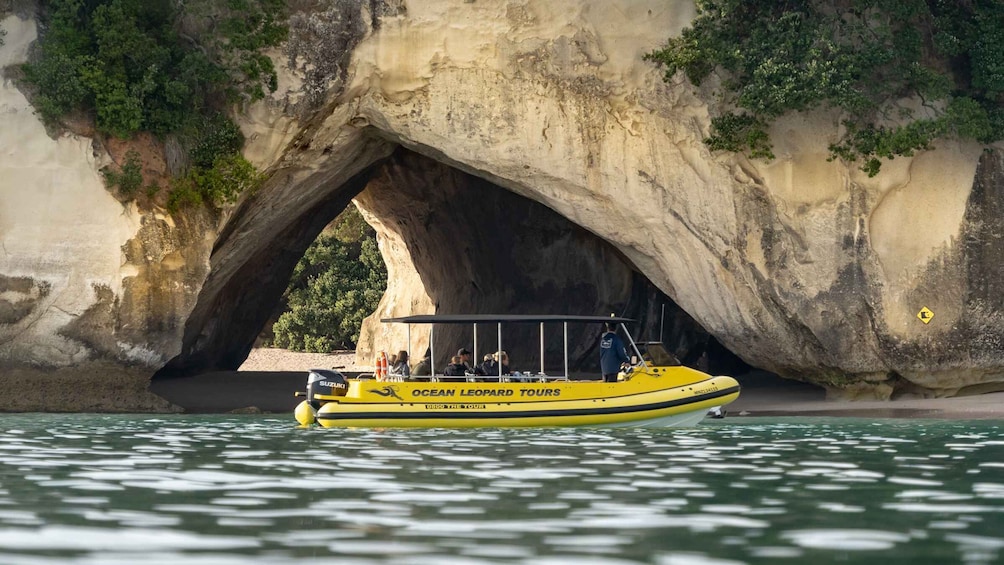 Picture 2 for Activity Whitianga: Cathedral Cove Highlights Boat Tour