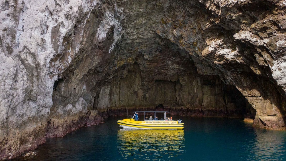 Picture 4 for Activity Whitianga: Cathedral Cove Highlights Boat Tour