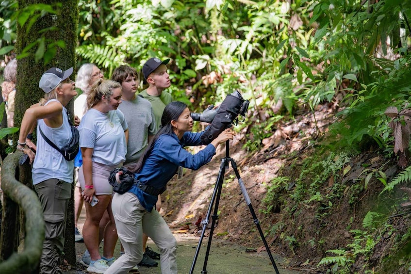 Picture 8 for Activity Hanging Bridges Guided Tour at Mistico Park