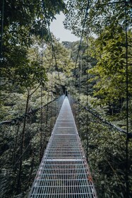 Visita guiada a los puentes colgantes en Mistico Park