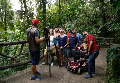 Ponts suspendus visite guidée au parc Mistico