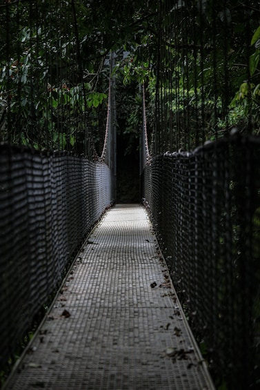 Picture 4 for Activity Hanging Bridges Guided Tour at Mistico Park