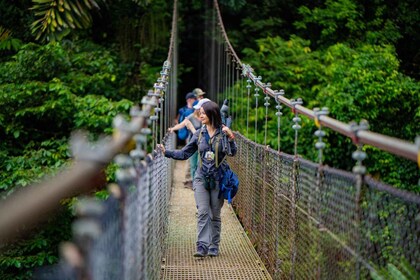 La Fortuna: visita guiada a los puentes colgantes en el Parque Mistico