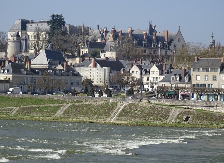 Picture 1 for Activity Blois: Private Tour of Blois Castle with Entry Tickets