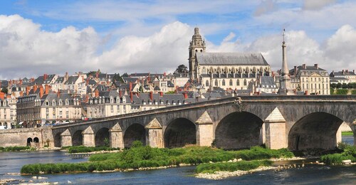 Blois : Visite privée du château de Blois avec billets d’entrée