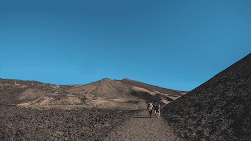 Catania: Etna Morning Excursion with Tasting and Pickup