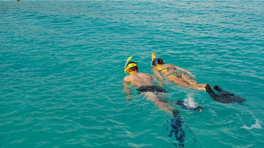 La Palma : Snorkeling Tour in Los Cancajos