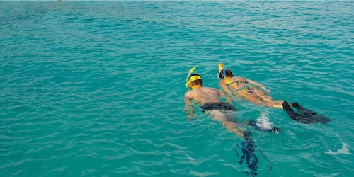 La Palma : Snorkelling Tour in Los Cancajos
