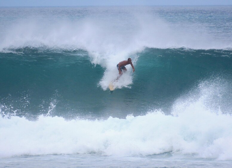 Picture 6 for Activity Uluwatu: Beginner & Intermediate Surf Lesson with Equipment