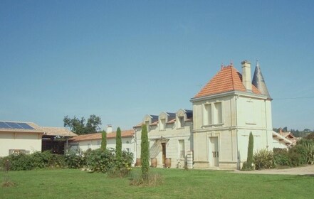 Saint-Émilion : Visite d'un vignoble familial avec dégustation