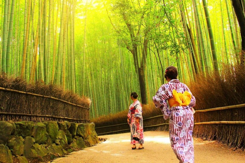 Picture 2 for Activity Traversing Kyoto's Scenic West - Arashiyama to Kinkakuji