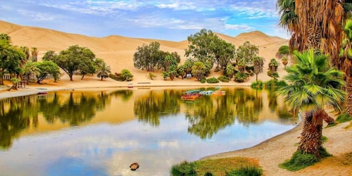 Vanuit Paracas | Excursie naar Ica en Huacachina