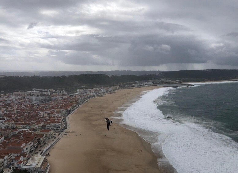 Nazaré: Big Wave Capital & Medieval Óbidos tour from Lisbon