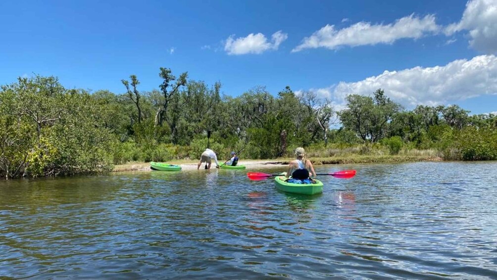 Picture 1 for Activity Tarpon Springs: Guided Anclote River Kayaking Tour