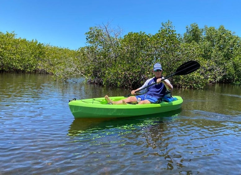 Picture 3 for Activity Tarpon Springs: Guided Anclote River Kayaking Tour