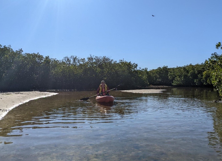 Picture 4 for Activity Tarpon Springs: Guided Anclote River Kayaking Tour